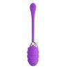 Pretty Love Franklin Rechargeable Egg Vibe – Purple