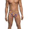 Pride Fest – Mini Short – Large – Print