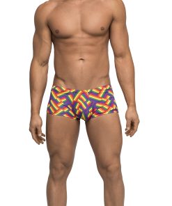 Pride Fest – Mini Short – Large – Print