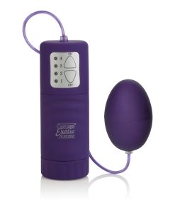 Waterproof Pocket Exotics Waterproof  Egg – Purple