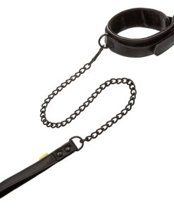 Boundless Collar & Leash