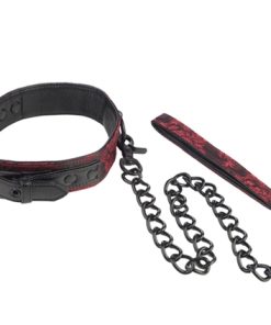 Scandal Collar With Leash